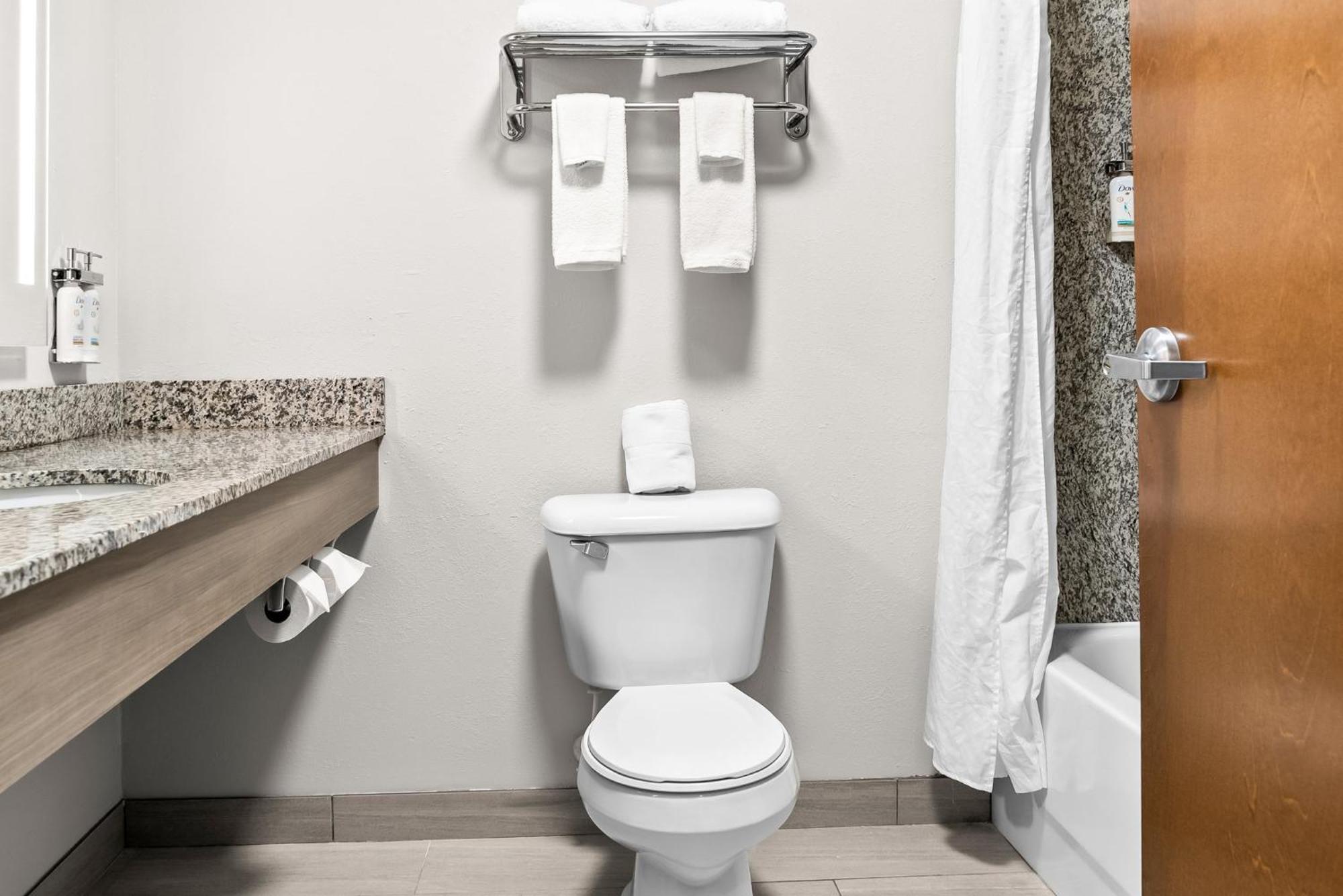 Holiday Inn Express & Suites Detroit - Novi By Ihg Εξωτερικό φωτογραφία